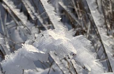 Kathrin`s Appartment - Foto 23