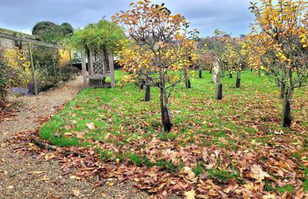 Plank Bridge Shepherds Hut in Orchard - Peaceful Escape for Two - Foto 24