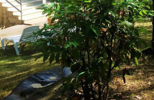 El Rincón de Gredos - Photo 41