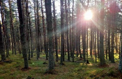 Ardvonie House - Foto 14