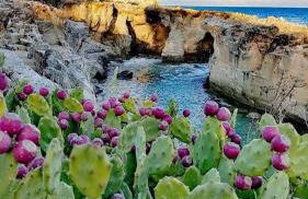 Casetta nel borgo Panta Rhei - Foto 43