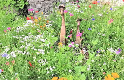 BodenSEE Apartment Tettnang APFELLIEBE - Foto 19