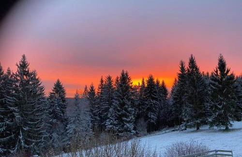 Small and Cozy Apartment in Frauenwald near Forest - Foto 44