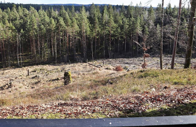 6 Person Holiday Home in Knared - Foto 32