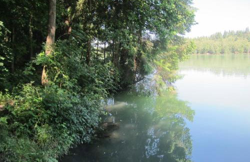 Historisches Ferienhaus Zum alten Standesamt - Foto 54