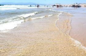 Casa Luz - Brejos de Azeitão - Foto 51