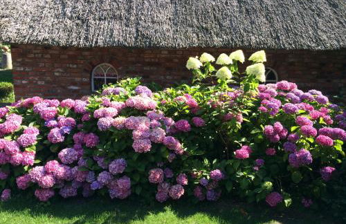 Bielenberg 37 - Foto 24