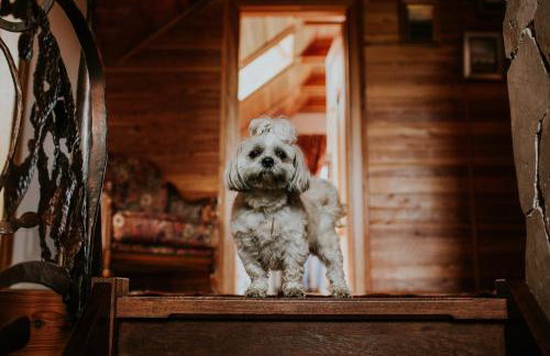 Villa Kuligi - Foto 7