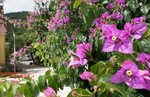 Apartment Alba - Photo 38