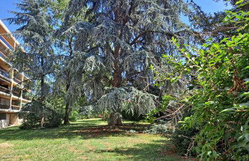 Le Duc de Savoie Thonon - Foto 20