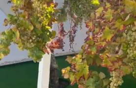 Family-Friendly Villa with Private Pool & Rooftop Oasis - Foto 38