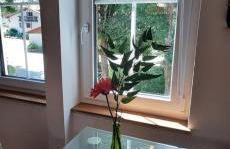 s' Kännele Ferienwohnungen - Foto 48