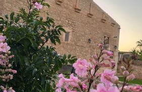 Masseria Boscorotondo - Foto 37