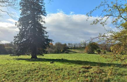 Gelly Dylan Thomas Paradise - Foto 35