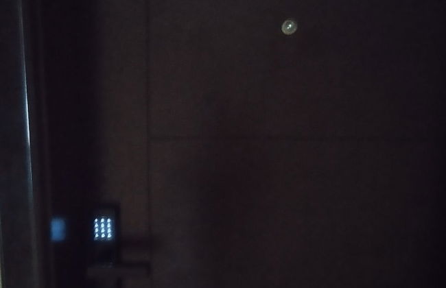 Cebu Avida Riala T1 1122 IT Park - Foto 9