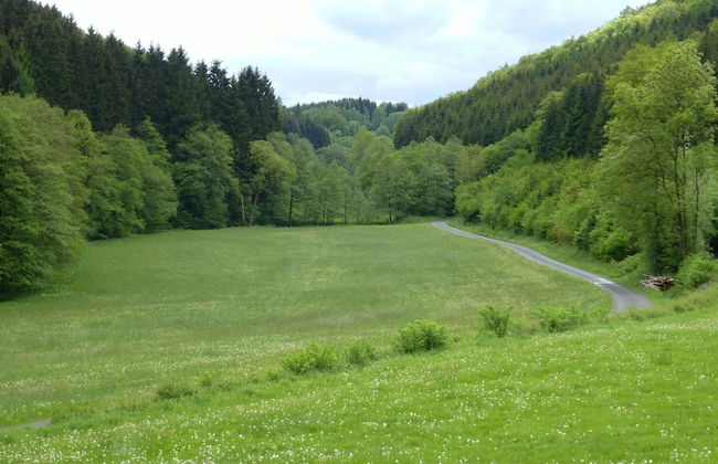 Ferienhaus Schmallenberg Nahe Skibus - Foto 16