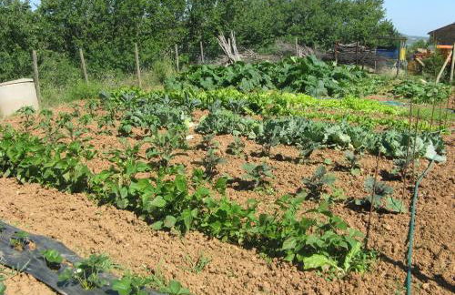 Agriturismo Aiole - Foto 42