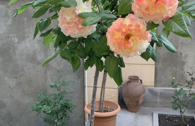 3 room apartment on Baghramyan - Foto 55