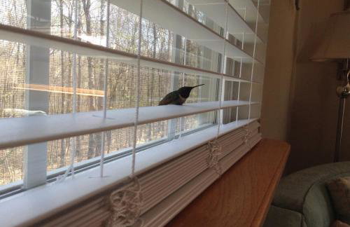 The Bird House near Fall Creek Falls State Park - Foto 34