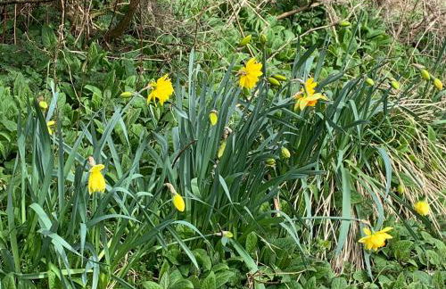 Tanllan Apartment - Foto 40