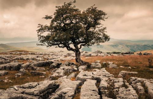 Winskill Cottage - Foto 26