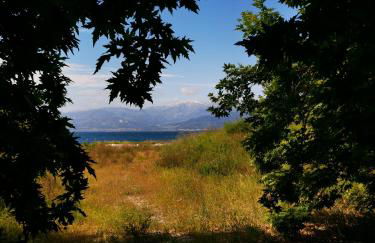 Blumenhaus (Spiti Louloudia) - Foto 45