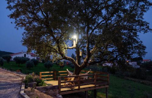 Quinta do Esteval - Foto 18