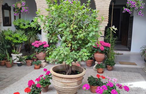 El patio de Regina - Foto 35