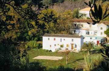 Molino de Simón - Photo 13