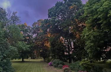 Arboris - Retreat into the open - Photo 22