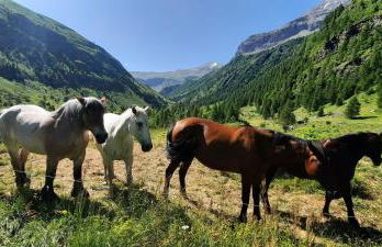 Les Cristallines - Appartement Cosy - Foto 18
