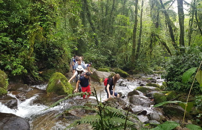 Chorro de las Campanas Waterfall Trip - Photo 4
