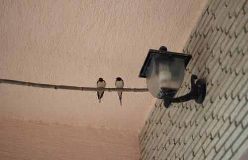 Apartmani Nena - Foto 12