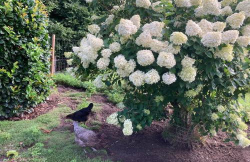 Ferienwohnung Piesch - Foto 14