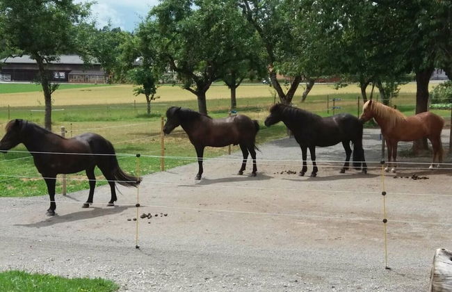 2 Fuchskreuzhof - Foto 18