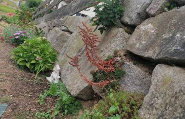 Gite Luxury à Soultzeren - Foto 21