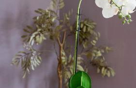 Pinkerton House - Photo 30