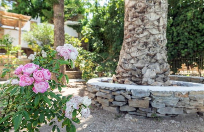 Charming 3-bedroom House in Tinos - Foto 23