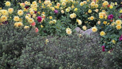 La Grange de la Gandonnerie - Photo 4, Garden