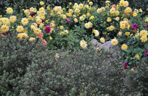 La Grange de la Gandonnerie - Photo 4