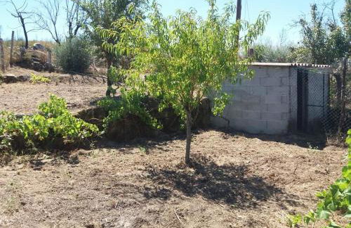 Casa do Forno da Aldeia - Serra da Estrela - Foto 29