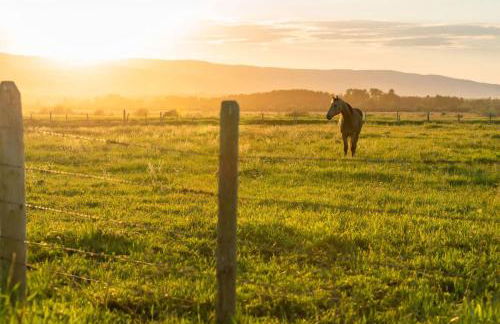 Upscale Hot Tub Wildlife Views - Photo 14