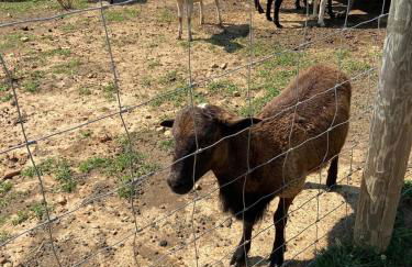 Cozy Farmhouse near Mammoth Cave on 45 acre farm - Foto 41