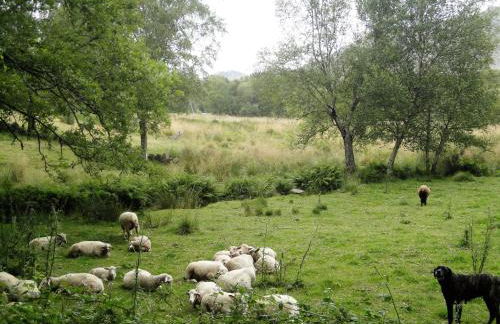 Macheta's Coutry House - Foto 65