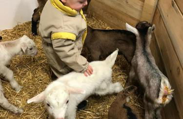 Agritur Maso Piasina - Photo 36