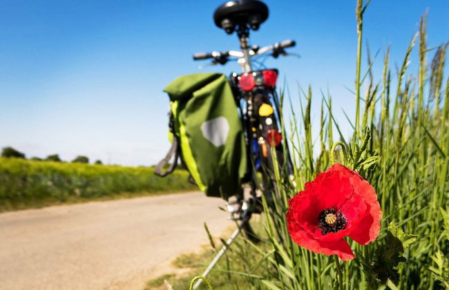 4 Star Holiday Home in Haverud - Foto 12