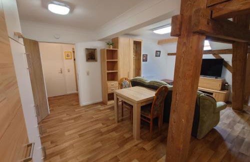 Apartment 6 Zum Kuhstall Heinrichsberg - Magdeburg - Foto 23