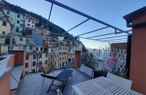 Pepita di Rio - Foto 10