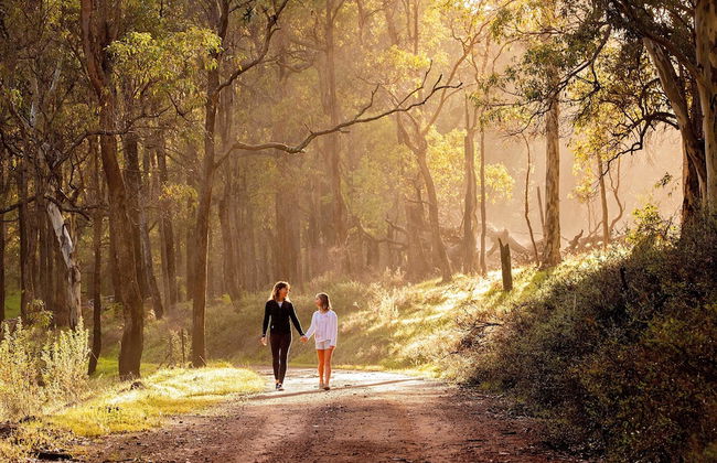 Evedon Park Bush Retreat - Foto 29