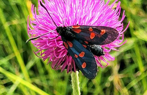 Casa Acqua Dolce - House with 4 Bedrooms and Own Spa - Foto 62